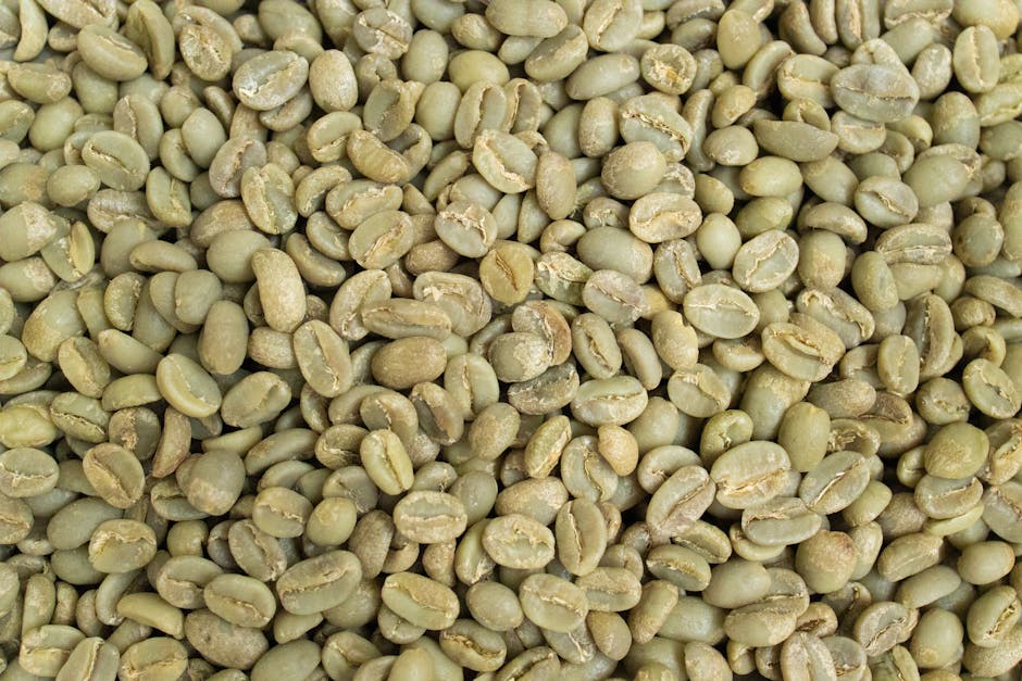 Detailed close-up of fresh, raw green coffee beans, ideal for roasting.